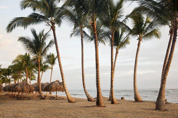 Hotel Excellence El Carmen (Adults Only) Punta Cana Exterior foto